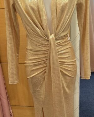 Robe Béyoncé