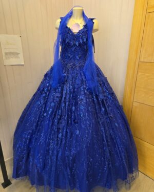 Robe étoile bleue